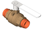 Revit Model